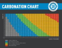 Carbonation Chart By Style