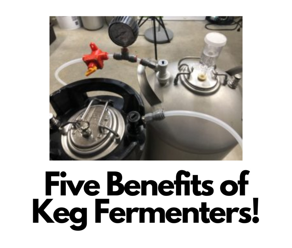 The Importance of Properly Maintaining Your Beer Fermenter - YoLong Brewtech