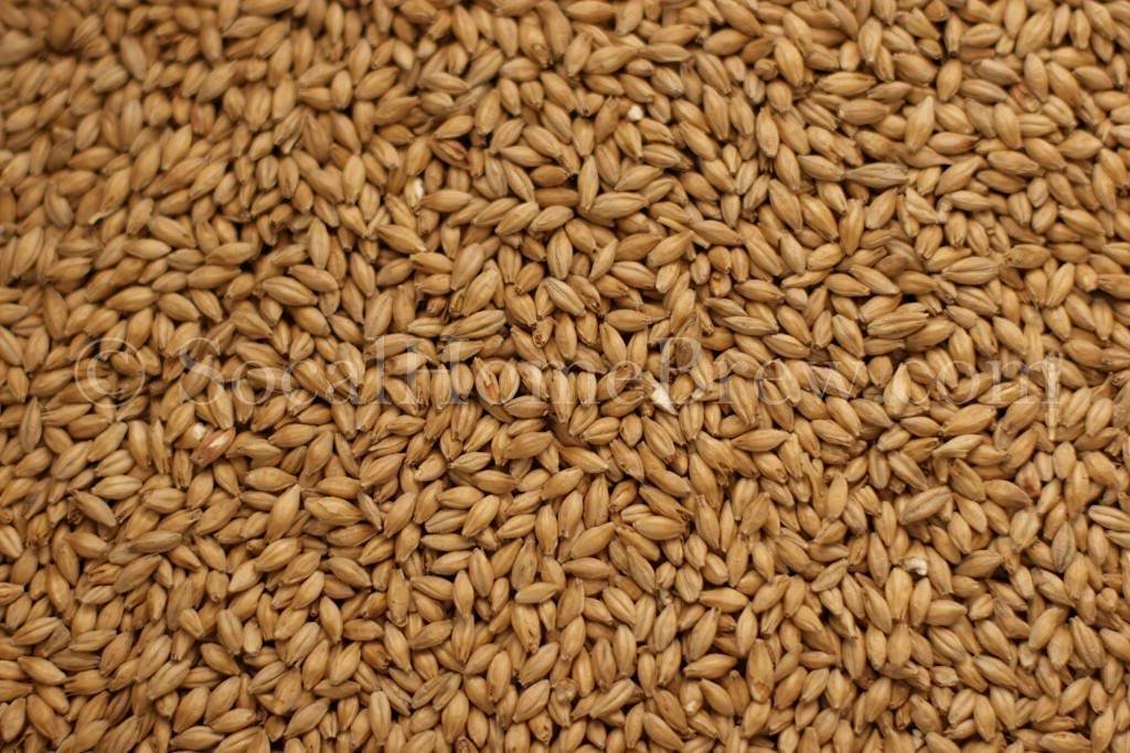 Maris Otter Malt (10 lb) 